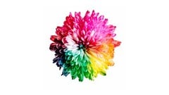 Exploring The Chakras ude_2025914300