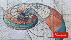 Coding a Algo Trading Bot: BankNIFTY Golden Ratio Strategy ude_2025914391