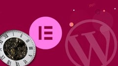 Elementor WordPress Page Speed ude_2025914426