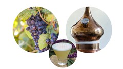 Pisco Certificate Course-Become an Expert in Peruvian Pisco ude_2025914457